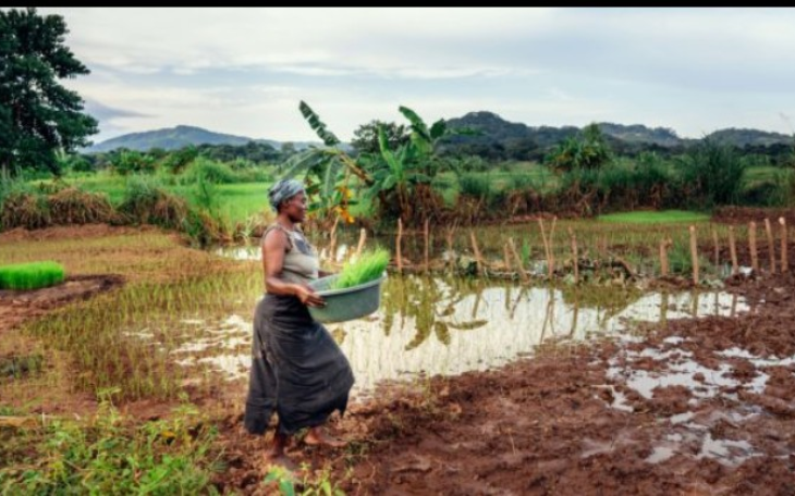 UGANDA EKUULA LYA’ FRIKA